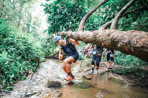 BIB: 
                            <button type="button" onclick="openModal(25373285)" class="btn btn-primary btn-sm float-right btn-popup" data-toggle="modal" data-target=".modal-high-quality">
                        <i class="fas fa-shopping-cart"></i> Add to Cart
                    </button>
                                            <button type="button" onclick="isThisMe(25373285, true)" class="btn btn-success btn-sm float-right btn-popup btn-isme hidden" data-toggle="tooltip" data-placement="bottom" title="นี่คือรูปของคุณใช่ไหม คลิกที่นี่เพื่อเอาเข้าอัลบั้ม">
                        <i class="fas fa-plus"></i> Add to album
                    </button>
                    <button type="button" onclick="isThisMe(25373285, false)" class="btn btn-warning btn-sm float-right btn-popup btn-isnotme hidden">
                        <i class="fas fa-ban"></i> Remove from album
                    </button>